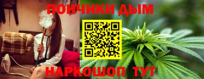 индика Обь