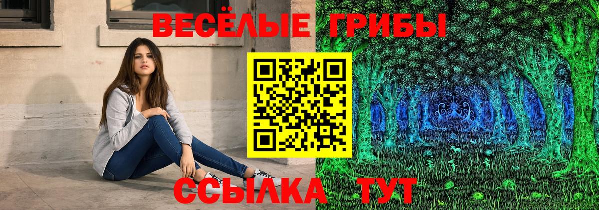 Галлюциногенные грибы Psilocybe Троицк